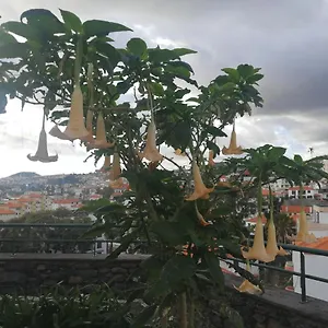 Casa Vanday Hébergement de vacances Funchal (Madeira)