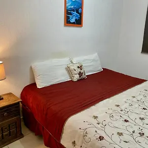  Apartamento Casa Nueva Con 3 Recamaras Y A Un Lado De Alberca México